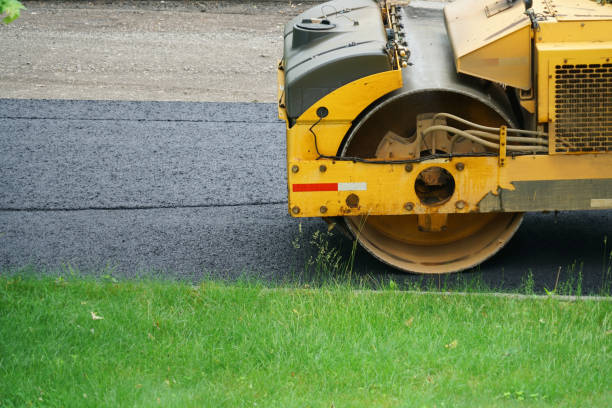 Best Professional Driveway Pavers  in San Felipe Pueblo, NM